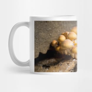 slb wild Mug